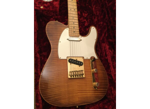 Fender Select Telecaster (34365)