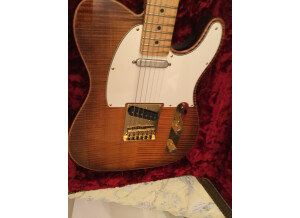 Fender Select Telecaster (41027)