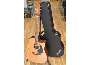 Takamine P1DC 01