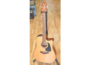 Takamine P1DC 02