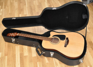 Takamine P1DC 07