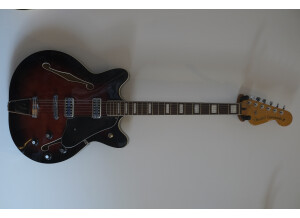 Fender Special Edition Coronado Guitar (51307)