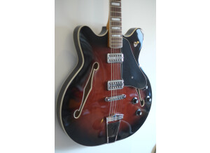 Fender Special Edition Coronado Guitar (1719)