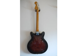 Fender Special Edition Coronado Guitar (77216)