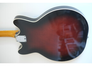 Fender Special Edition Coronado Guitar (73242)