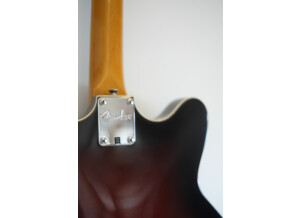Fender Special Edition Coronado Guitar (93440)