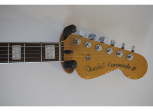 Fender Special Edition Coronado Guitar (37629)