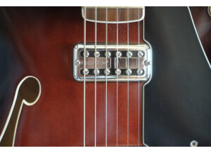 Fender Special Edition Coronado Guitar (71581)