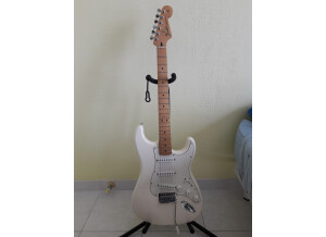 Fender Standard Stratocaster [2009-Current] (98003)