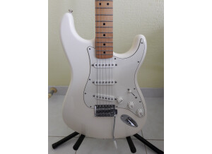 Fender Standard Stratocaster [2009-Current] (13995)