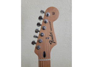 Fender Standard Stratocaster [2009-Current] (14489)