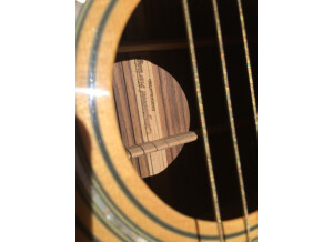 Tanglewood TW1000 H SRC E (87642)