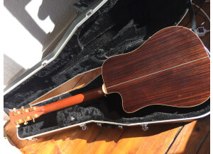 Tanglewood TW1000 H SRC E (84606)