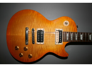 Gibson Les Paul Signature Gary Moore (25813)