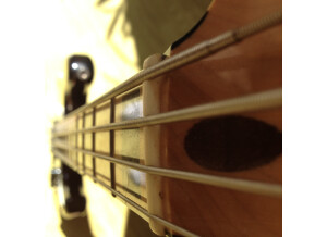 Fender Geddy Lee Jazz Bass (69162)