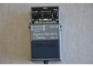 Boss RV-3 Digital Reverb/Delay (72252)