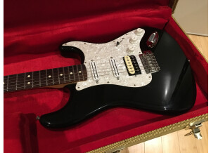 Fender Standard Stratocaster [2009-Current] (10177)