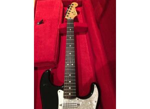Fender Standard Stratocaster [2009-Current] (38985)