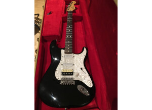 Fender Standard Stratocaster [2009-Current] (49565)