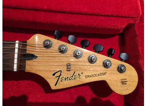 Fender Standard Stratocaster [2009-Current] (33372)
