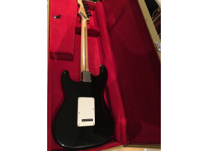 Fender Standard Stratocaster [2009-Current] (50610)