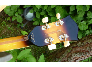 Hofner Guitars President Bass CT 500/5 2012 Edition