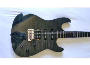Chapman Guitars ML-1 (87395)