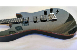Chapman Guitars ML-1 (59807)