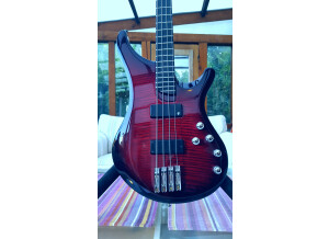 Vigier Arpege IV (57085)