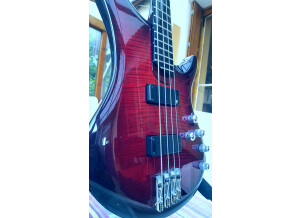 Vigier Arpege IV (47206)