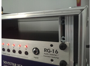 Rjm Music Technologies RG-16 - Audio Switcher / Function Switcher (22918)