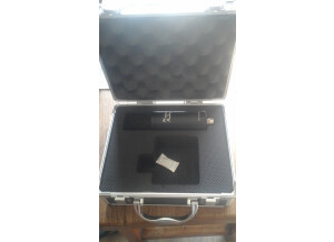 Mojave Audio MA-201fet (45435)