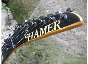 Hamer Chaparral Custom USA