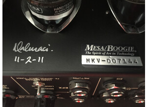 Mesa Boogie Mark Five Head (8074)
