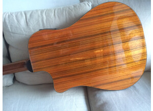 Fender Victor Bailey Acoustic Bass (48250)