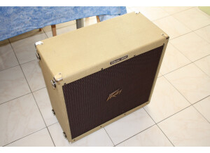 Peavey Classic 410 (73729)