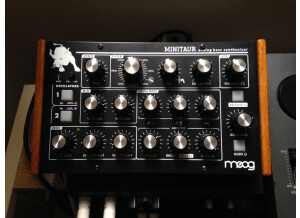 Moog Music Minitaur (90812)