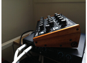 Moog Music Minitaur (99149)