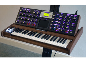 Moog Music Minimoog Voyager Select Series (20218)