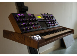 Moog Music Minimoog Voyager Select Series (73922)