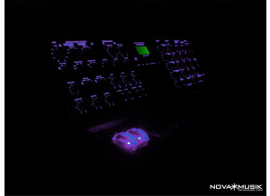 Moog Music Minimoog Voyager Select Series (80875)