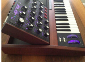 Moog Music Minimoog Voyager Select Series (10115)