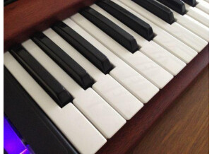 Moog Music Minimoog Voyager Select Series (83352)