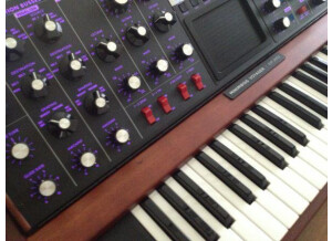 Moog Music Minimoog Voyager Select Series (58367)