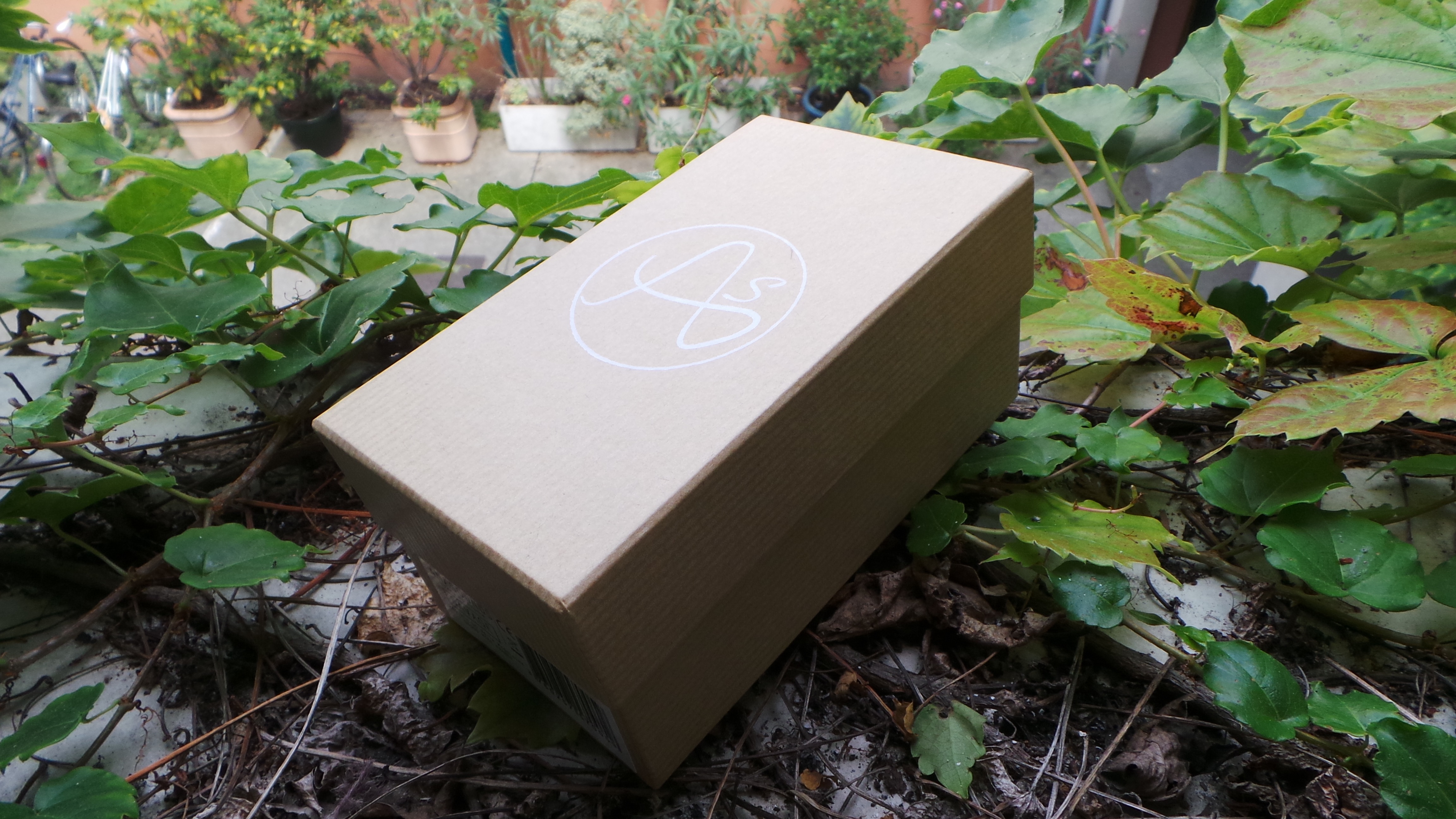 Anasounds Savage MKII : Test Anasounds Savage Photo 1