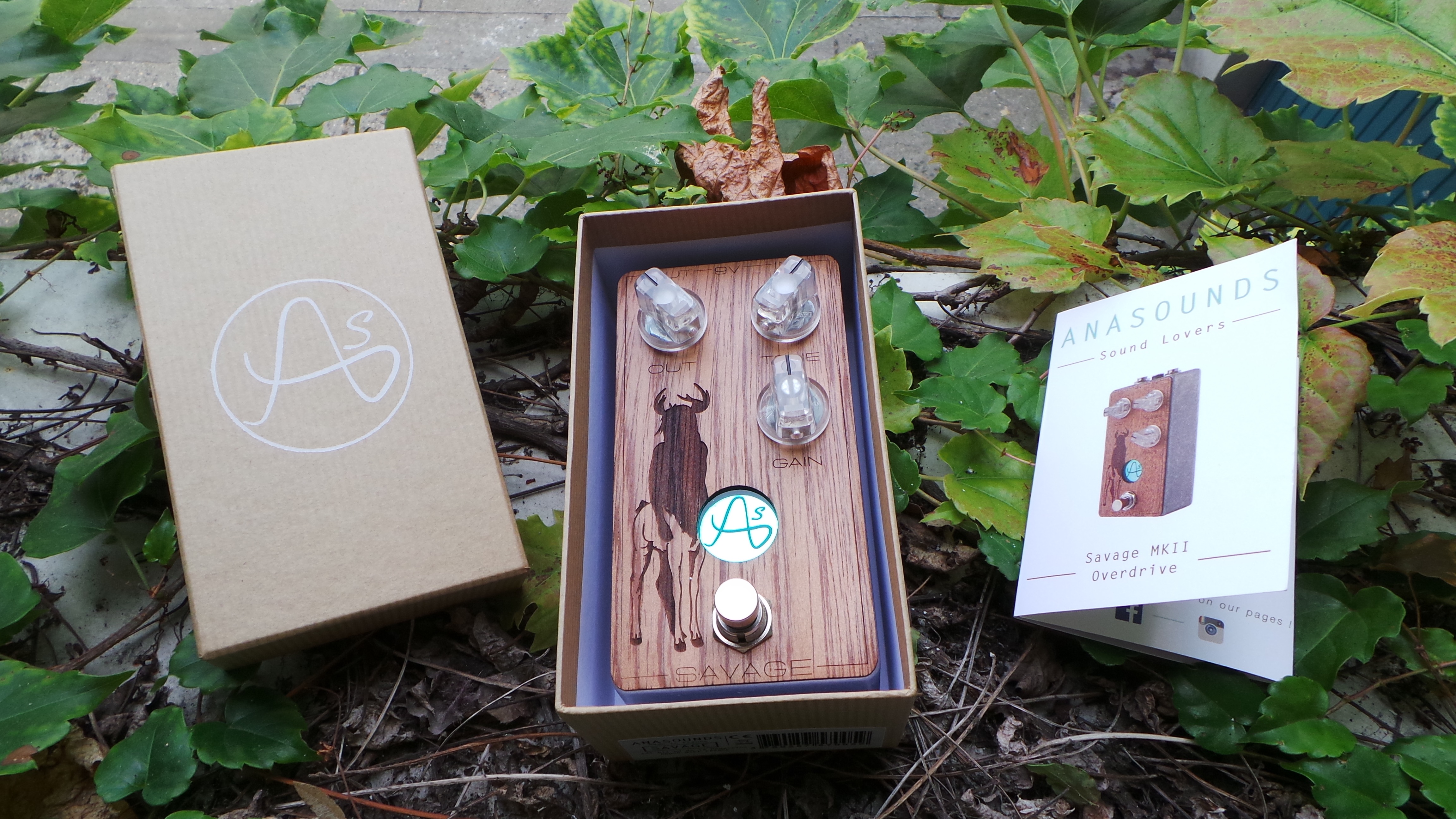 Anasounds Savage MKII : Test Anasounds Savage Photo 2