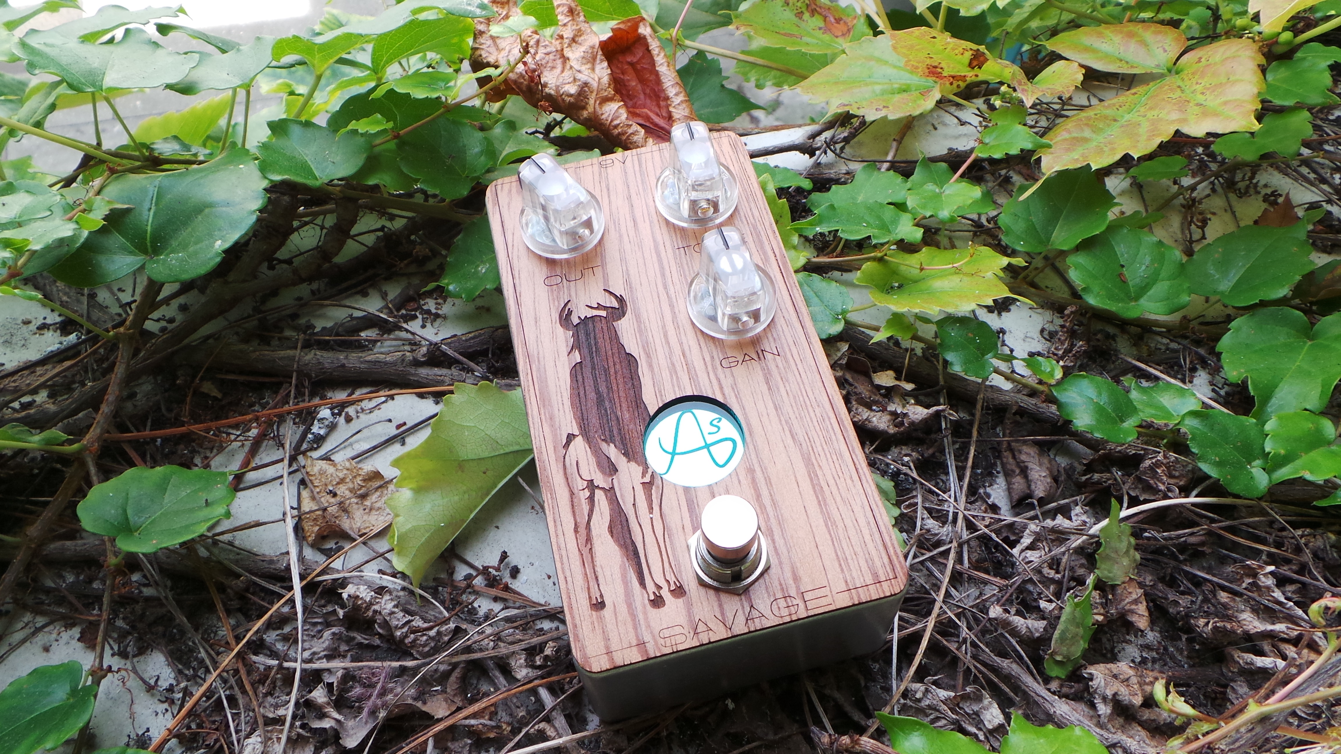 Anasounds Savage MKII : Test Anasounds Savage Photo 3