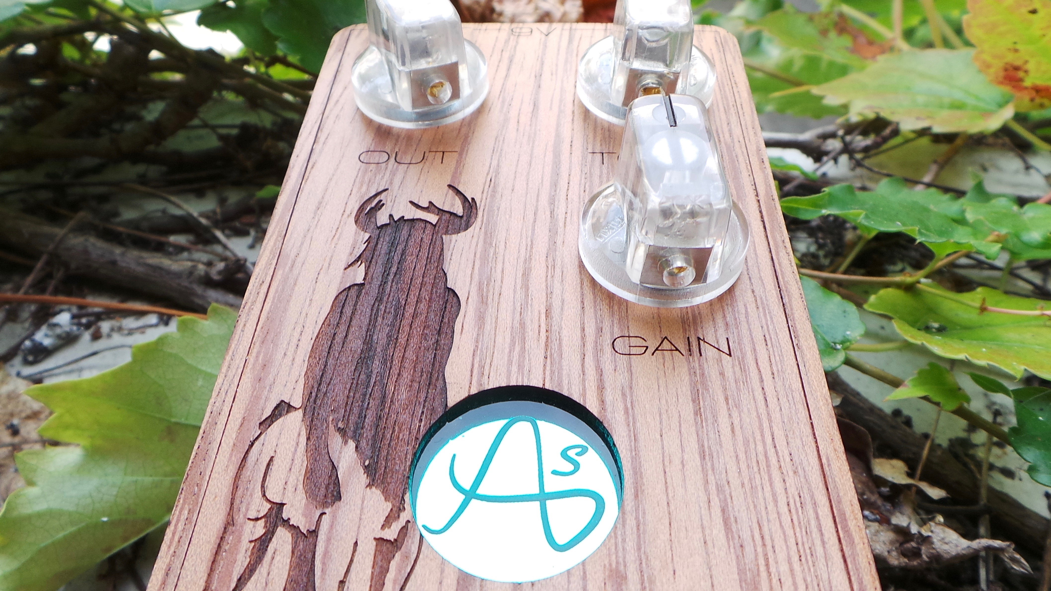 Anasounds Savage MKII : Test Anasounds Savage Photo 5