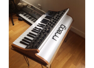 Moog Music SUB 37 (54705)