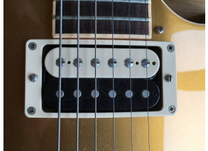Gibson Classic 57 - Zebra (61999)